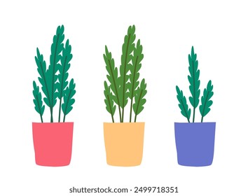 Cartoon Color Indoor Plant Pot Set Interior Element Concept Flat Design Style Isolated on a White Background. Vector illustration