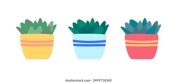 Cartoon Color Indoor Succulents Pot Set Interior Element Concept Flat Design Style Isolated on a White Background. Vector illustration of Echeveria Cactus