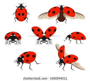 Cartoon Color Lady Bug Icon Set Red Insect Beetle in Black Dots. Vector illustration of Icons Ladybug