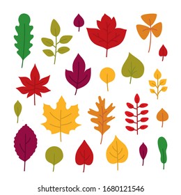 Cartoon Color Leaves Element Icon Set Include of Maple, Oak, Birch and Rowan. Vector illustration of Icons