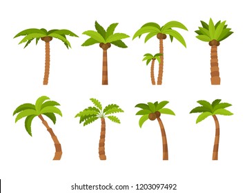 Cartoon Color Palma Tree Icon Set Tropical Exotic Nature Concept Element Flat Design Style. Symbol of Holiday. Vector illustration of Palm