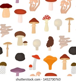 Cartoon Color Poisonous and Edible Mushrooms Seamless Pattern Background on a White Include of Toadstool and Truffle Flat Design Style. Vector illustration