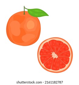 Cartoon color ripe whole grapefruit with shadow and slice. Sweet exotic food in a cut for healthy snack.