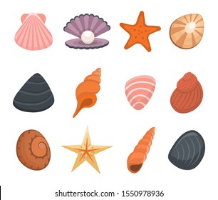 Cartoon Color Various Shells Icon Set Include of Seashell, Spiral, Scallop and Starfish. Vector illustration of Icons