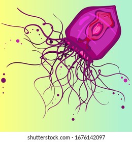 cartoon colored floating jellyfish surrounded by bubbles for illustrations and covers