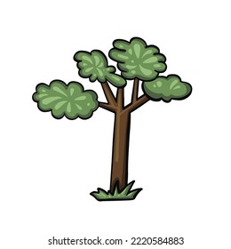 cartoon colored forest tree oak vector illustration