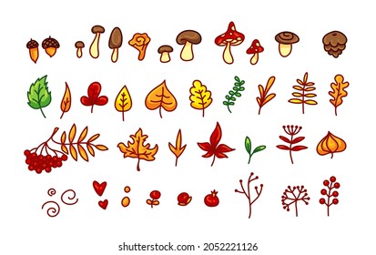 Cartoon colorful autumn elements set. Bundle - mushrooms, acorns, oak and maple leaves, branches, berries,rowan for kids. Vector illustration, elements isolated on white background for you design.