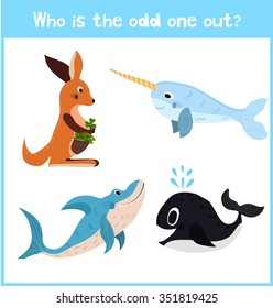 Cartoon colorful background of Education to find 1 extra pet kangaroo of the inhabitants of the seas and oceans in children's pictures . Matching Game for Preschool Children. Vector illustration