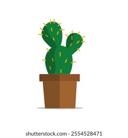 Cartoon colorful cactus and succulents cartoon. Decirative flowers and plants.