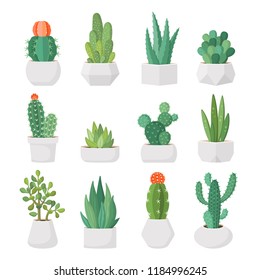 Cartoon colorful cactus and succulents in pots vector set. Decirative flowers and plants. Isolated icons illustration