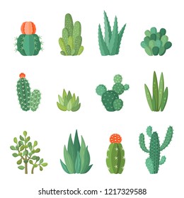 Cartoon colorful cactus and succulents cartoon vector set. Decirative flowers and plants. Isolated icons illustration