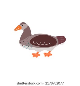 cartoon colorful duck isolated on white background