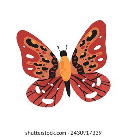 Cartoon colorful hand drawn butterfly flying vector illustration isolated