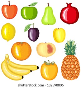 Cartoon colorful image fruit set