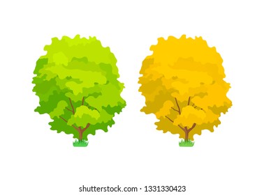 Cartoon colorful oak trees. Cute woody plants, green and yellow eco oak trees in summer and autumn seasons. Ecology, pure nature, environmental garden forest landscape. Vector illustration.