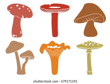 Cartoon colorful set mushroom, vector illustration