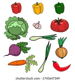 Cartoon colorful vegetable set. Vector vegetable collection: beetroot, pepper, cabbage, chilli, tomato,onion, carrot, , garlic.