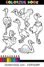 Cartoon coloring book page or coloring black and white ostrich