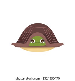 Cartoon comic turtle hiding in shell isolated on white background