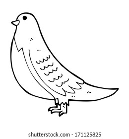 cartoon common bird