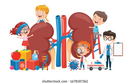 Cartoon Concept Of Human Organs
