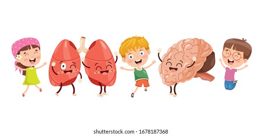Concepto De Caricatura De Órganos Humanos