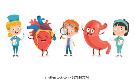 Cartoon Concept Of Human Organs