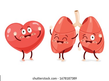 Cartoon Concept Of Human Organs