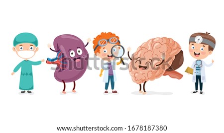 Cartoon Concept Of Human Organs