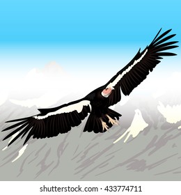 Cartoon Condor Flying Background