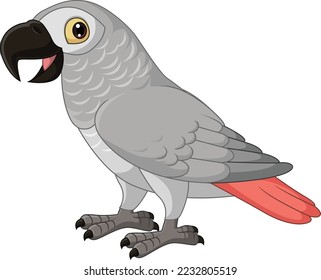 Cartoon Congo Grey Parrot on White Background