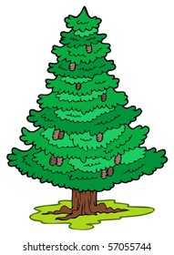 Árbol conífero de dibujos animados - ilustración vectorial.