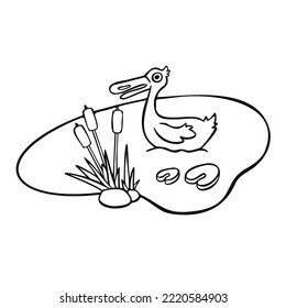cartoon contour duck swims in the pond line vector