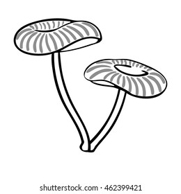 Cartoon contour mushroom isolated on white background. Vector illustration. EPS 10. 