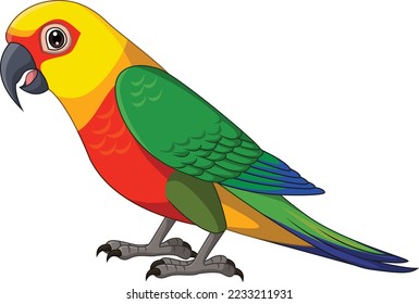 Cartoon Conure Jenday Parakeet on White Background