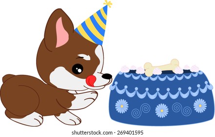 Cartoon corgi boy puppy with birthday cake.

