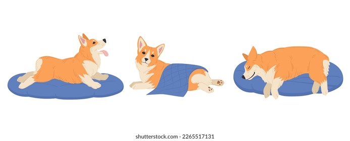 Caricatura de perro corgi. Talla de corgi de reposo y sueño, juego de ilustración vectorial plana de pedigrí doméstico feliz