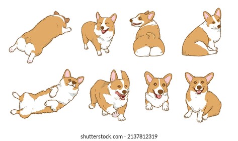 Cartoon corgi dog illustration collection