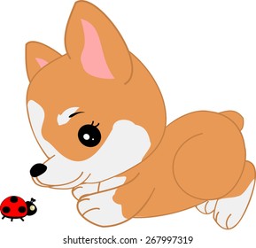 Cartoon corgi and the lady bug 
