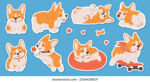 Cartoon Corgi puppy in various poses. Enjoy ride on red skateboard, caressing, playing, sitting. Corgi purebred breed of furry dog. Lovely childish pets character illustrations set on blue background