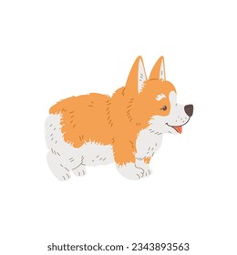 Caricatura Corgi raza pura raza de perro peludo, querida mascota. Vista lateral de un cachorro de corgi sonriente. Ilustración del vector aislada en fondo blanco