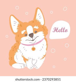 Cartoon Corgi purebred breed of furry dog, darling pet says Hello. Cute smiling corgi puppy sitting, collar with heart pendant. Vector illustration on beige background