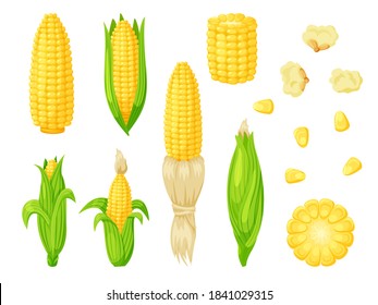 Cartoon corn agriculture meal harvesting set. Golden maize corncob delicious vegetable harvest, popcorn corny grain, sweet corn seed and stalk vector illustration isolated on white background