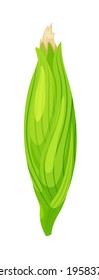 Cartoon corn cob in leaf isolated on white background