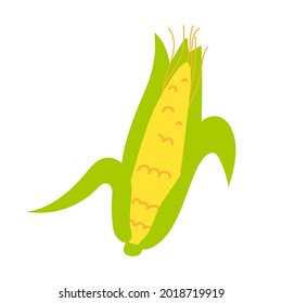 Cartoon corn isolated. Vector stock illustration of an ear of corn with stem leaves. Cereal plant on a white background.