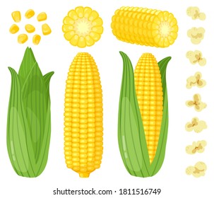 Cartoon corn. Maize vegetables, golden sweet corn cob, popcorn and corn grains, rich agriculture harvest vector illustration set. Organic food, hulled product and with husk isolated on white