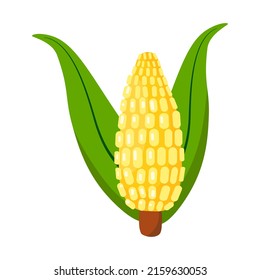 Cartoon-Maispflanze einzeln auf Vektorsymbol. Gemütliche Lebensmittel. Kochzutat. Konzept der Landwirtschaft.