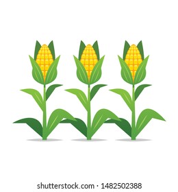 Cartoon corn plants vector isolated illustration