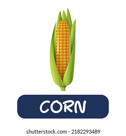 cartoon corn vegetables vector isolated on white background