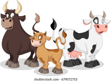 Cartoon cow, calf and bull. Cow family.